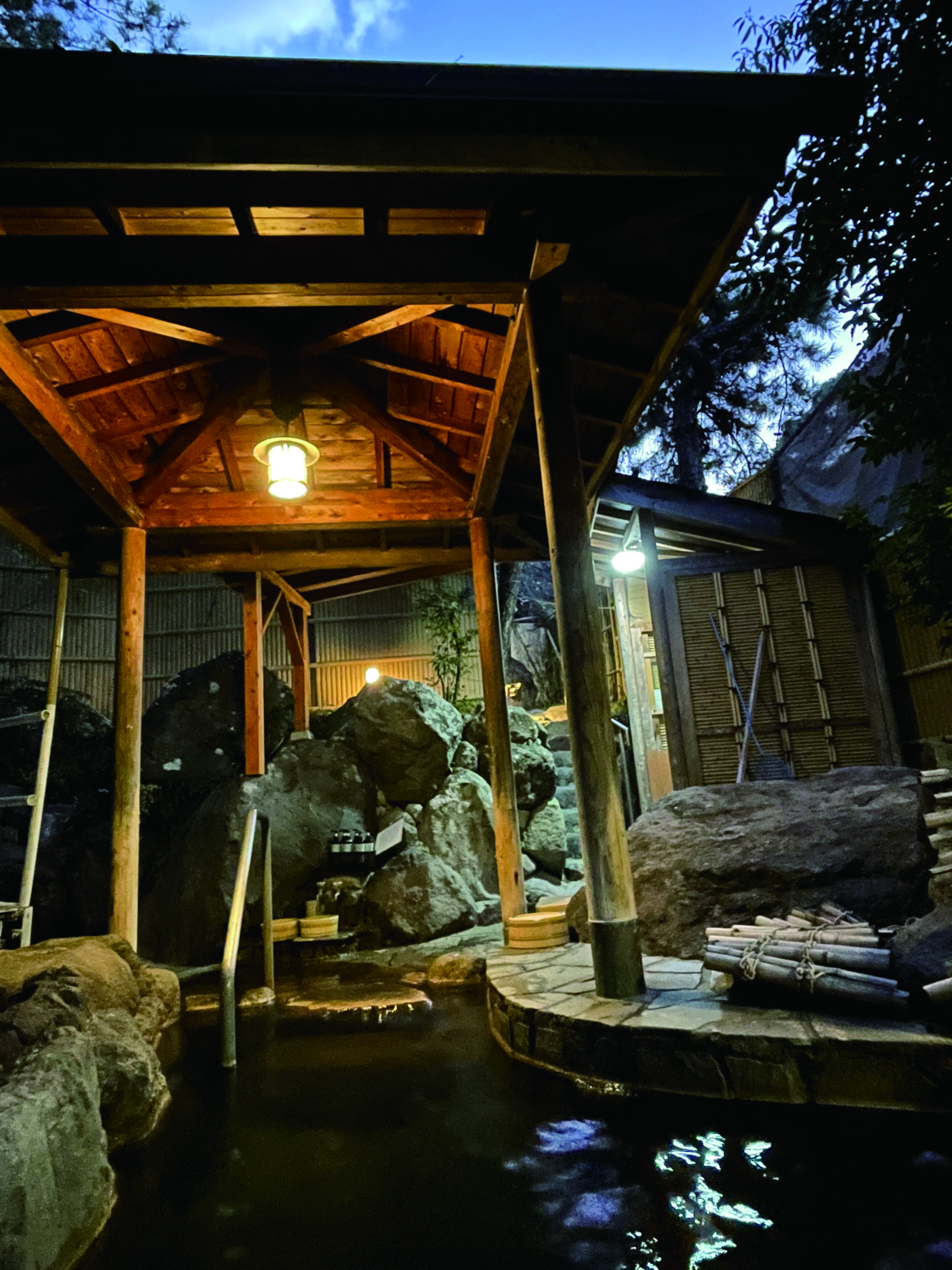 源泉掛け流し『別府 豊泉荘