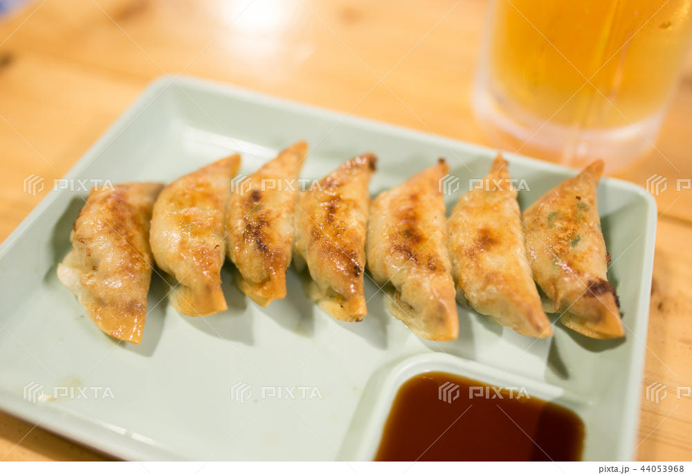 夜の街でつまみたくなる「高知屋台餃子」のイメージ